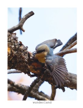 Pygmy Nuthatches book cover