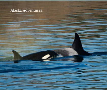 Alaska Adventures book cover