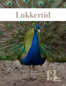 Lukkertid 2017 book cover