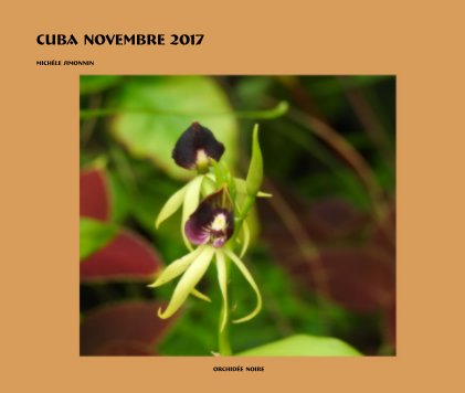 Cuba novembre 2017 book cover