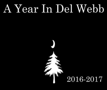 A YEAR IN DEL WEBB 2016-2017 book cover