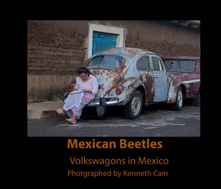 View Mexican Beetles by Kenneth Cain