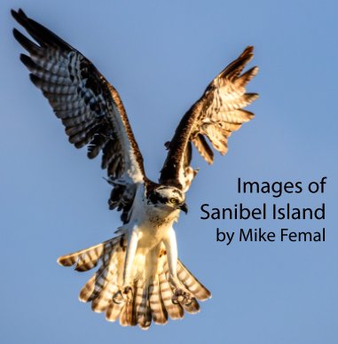 Images of Sanibel Island book cover