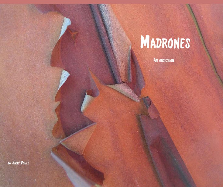 View Madrones by Sally Vogel