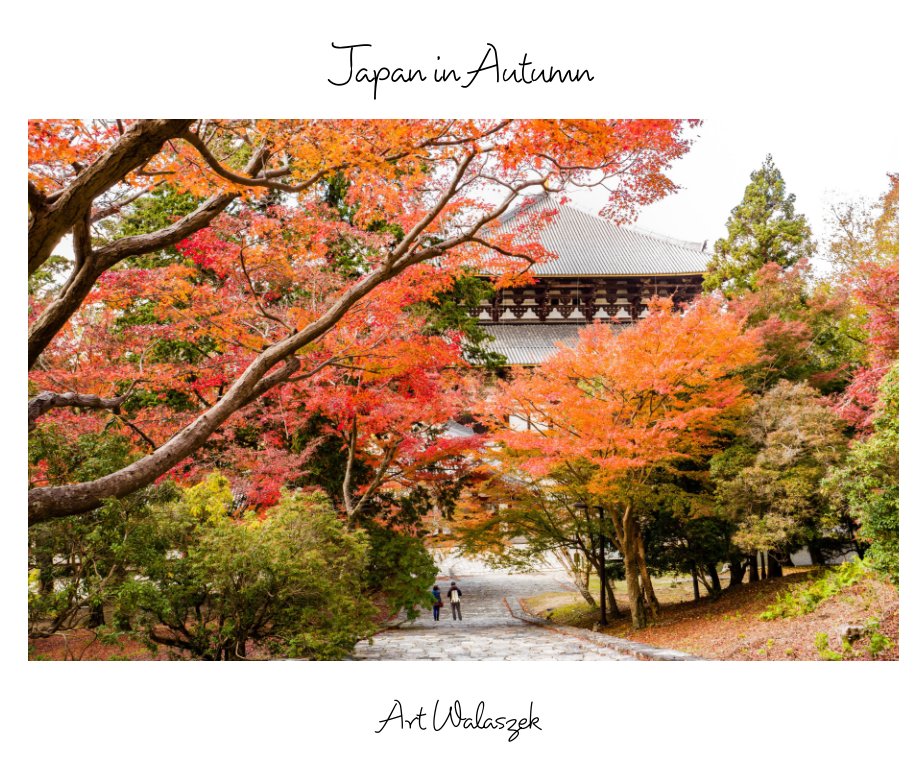 Visualizza Japan in Autumn di Art Walaszek