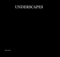 UNDERSCAPES book cover