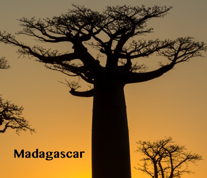 Ver Madagascar por Ila&Mat