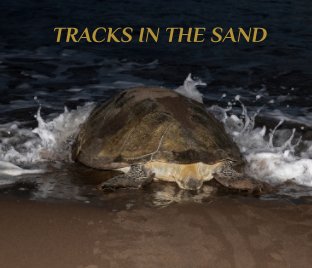Tracks in the Sand book cover