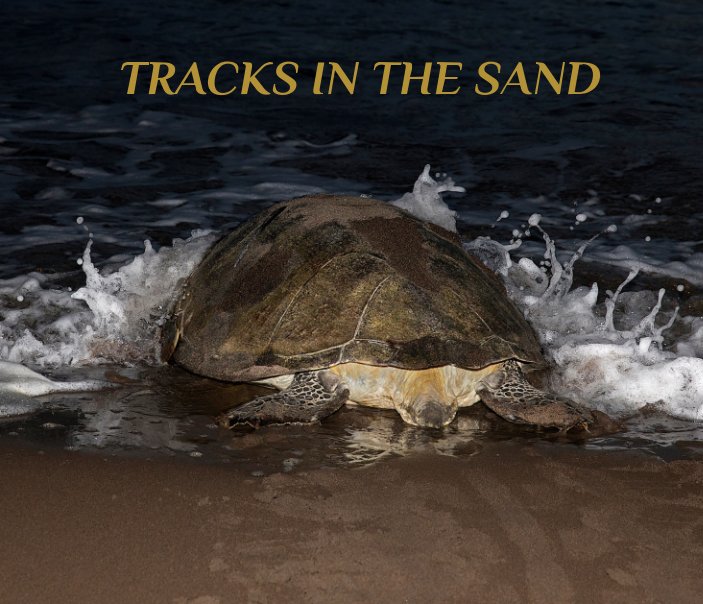 View Tracks in the Sand by Beth Tetterton