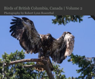 Birds of British Columbia, Canada | Volume 2 book cover