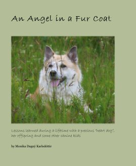 An Angel in a Fur Coat book cover