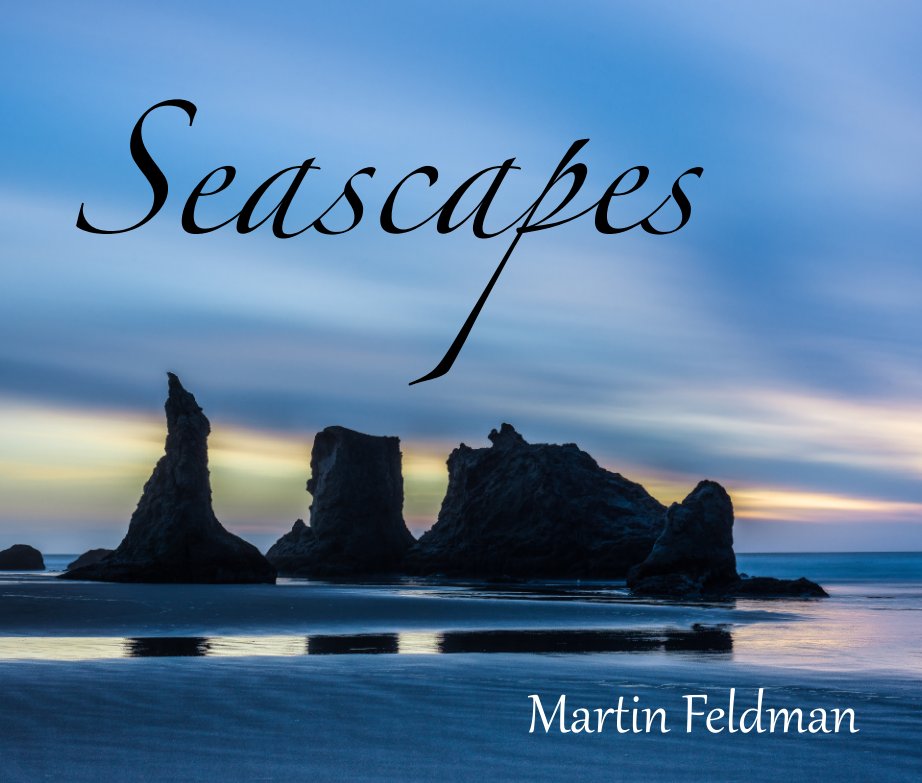 View Seascapes by Martin Feldman