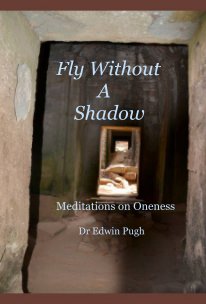 Fly Without A Shadow book cover