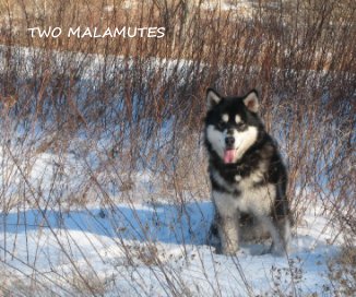 TWO MALAMUTES book cover