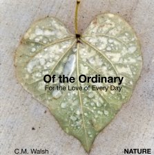 Of The Ordinary-Nature book cover