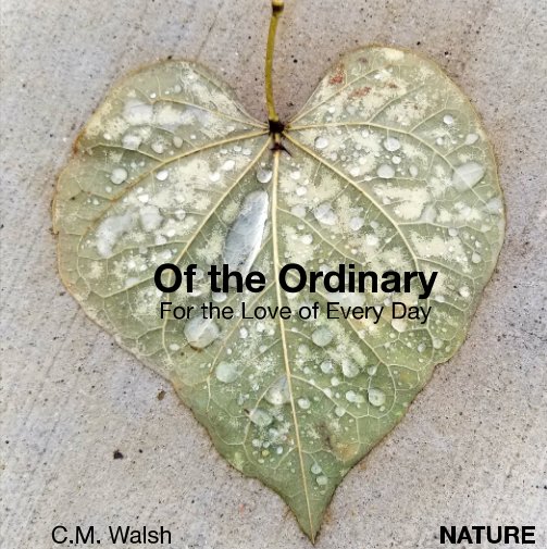 View Of The Ordinary-Nature by C M Walsh