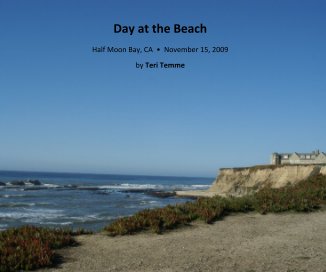 Day at the Beach book cover