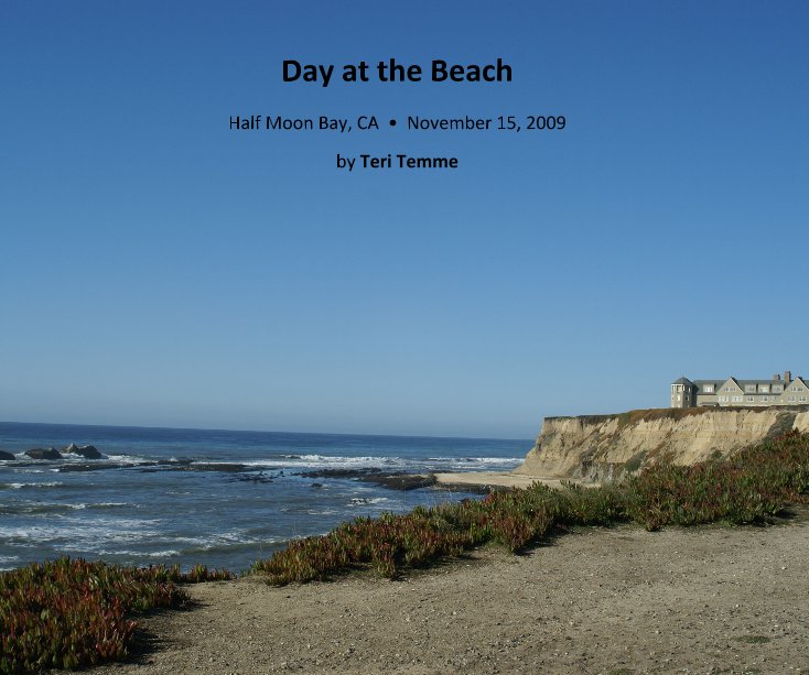 View Day at the Beach by Teri Temme