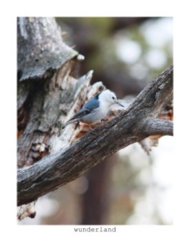 The White-Breasted Nuthatch book cover