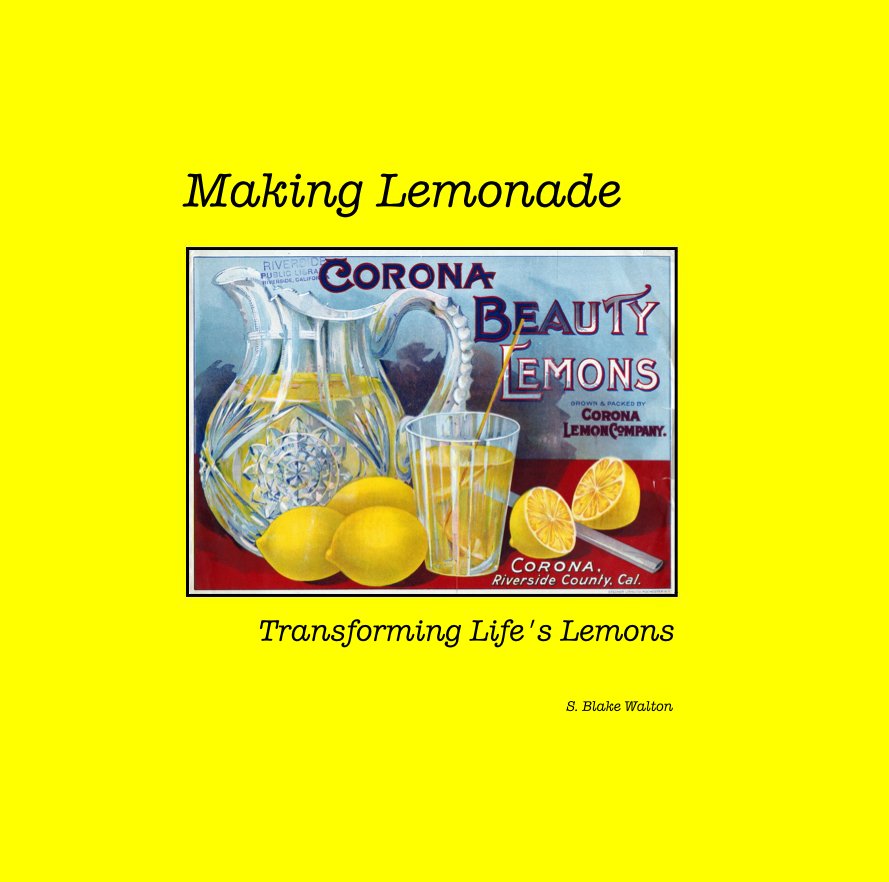 View Making Lemonade by S. Blake Walton