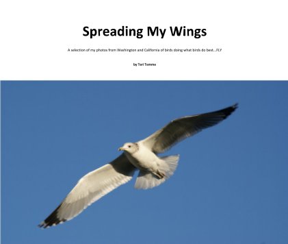 Spreading My Wings book cover