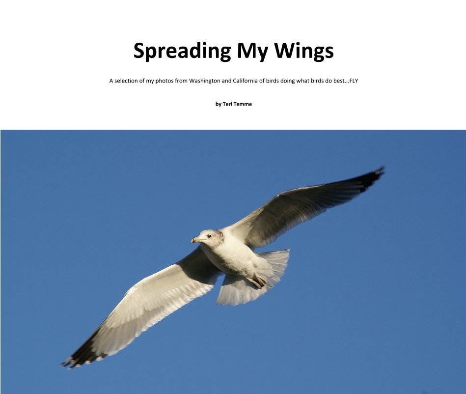 View Spreading My Wings by Teri Temme