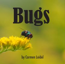 Bugs book cover