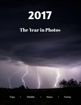 2017: The Year in Photos book cover