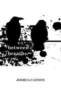 Between Breaths. book cover