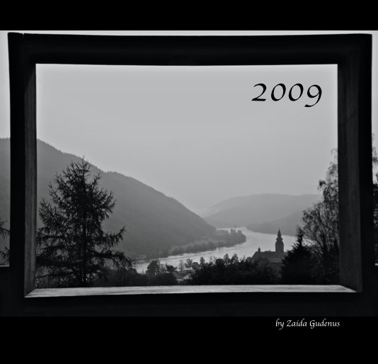 Ver 2009 por Zaida Gudenus