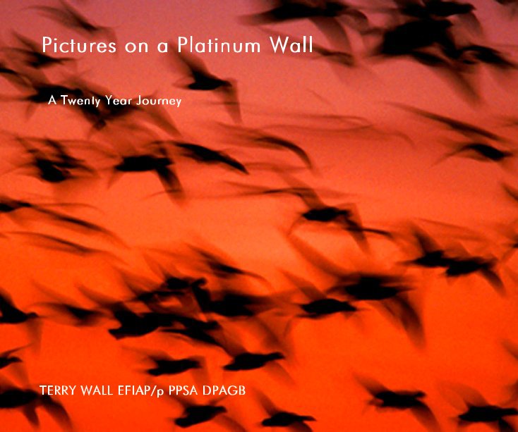 View Pictures on a Platinum Wall by TERRY WALL EFIAP/p PPSA DPAGB