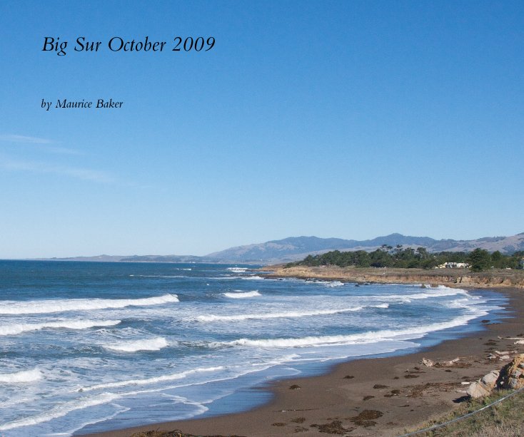 View Big Sur October 2009 by Maurice Baker