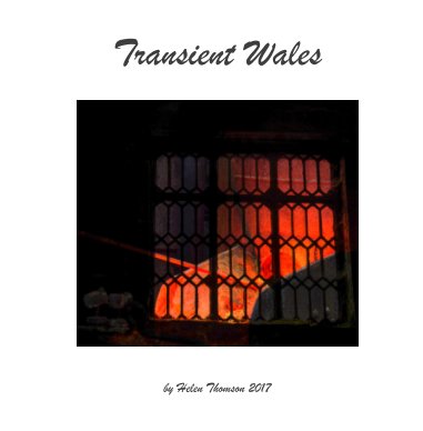 Transient Wales book cover