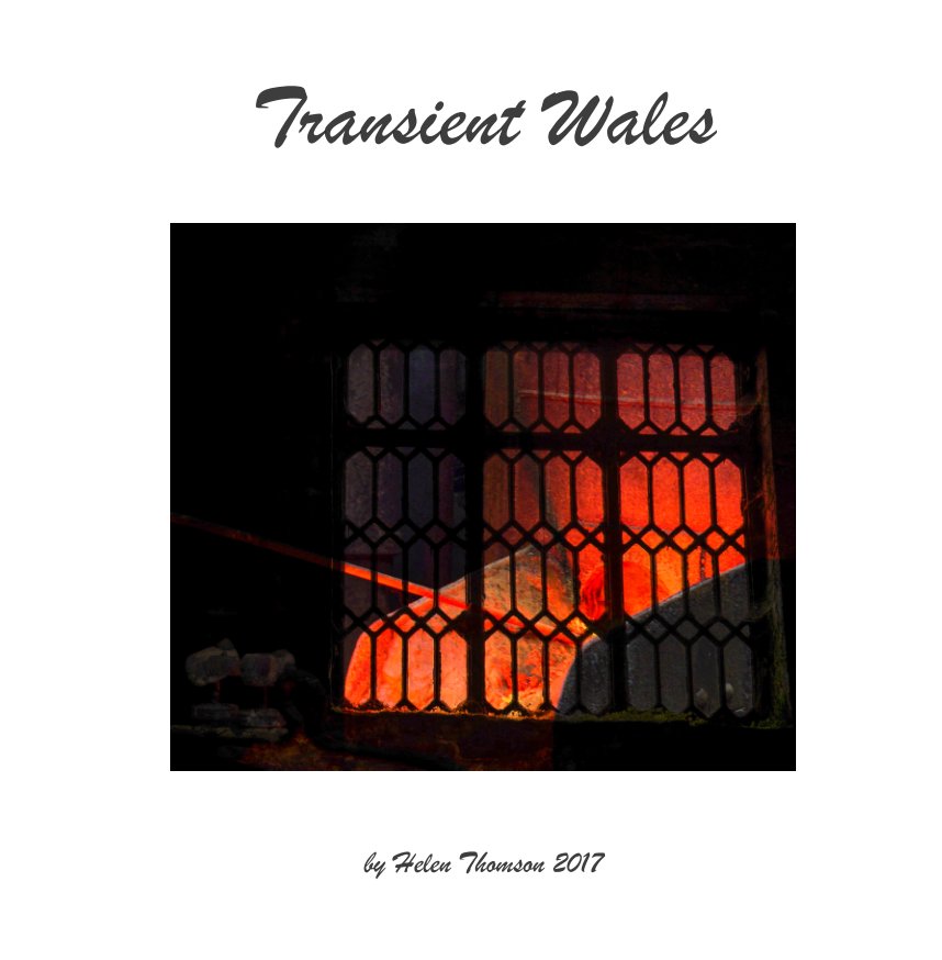 View Transient Wales by Helen Thomson