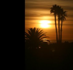 Sunset Through The Palms book cover