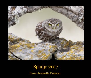 Spanje 2017 book cover