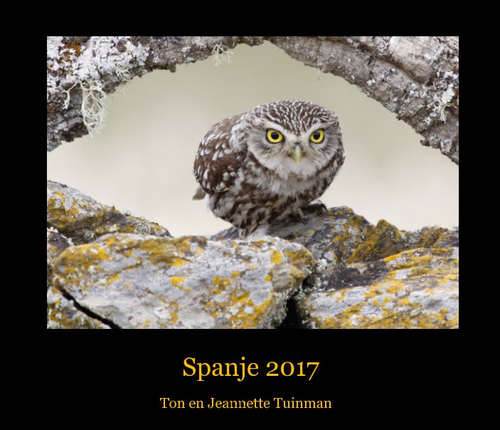 Bekijk Spanje 2017 op Ton Tuinman, Jeannette Tuinman