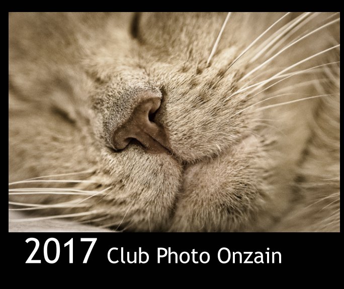Ver Club Photo 2017 por Club Photo Onzain
