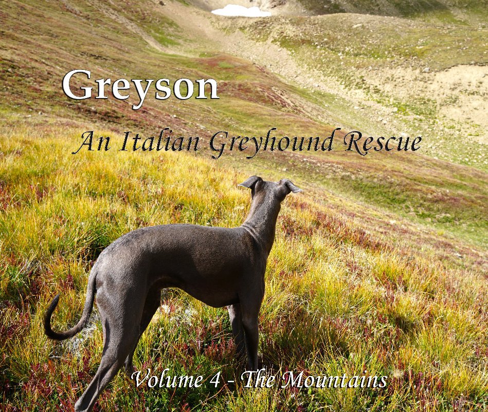 Visualizza Greyson An Italian Greyhound Rescue di William Pelander
