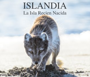 2017 Islandia book cover