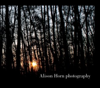 Alison Horn photography book cover