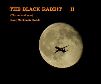 THE BLACK RABBIT II book cover
