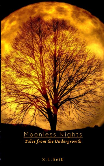 View Moonless  Nights by S. L. Seib