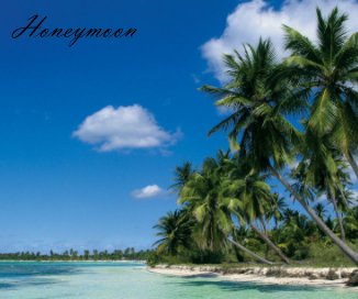 Punta Cana Honeymoon book cover