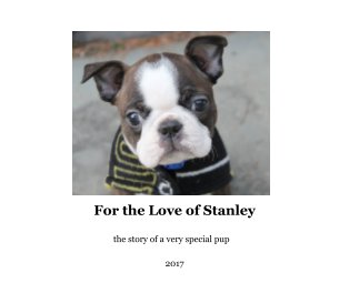 For the Love of Stanley book cover