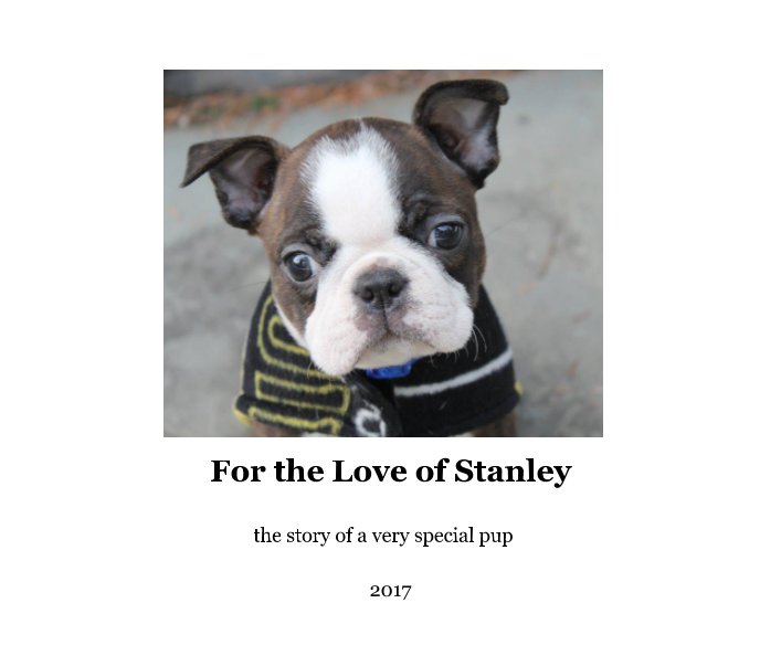 View For the Love of Stanley by Jeanne Stewart