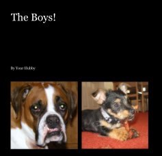 The Boys! book cover