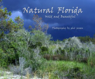 Natural Florida book cover