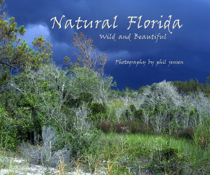 Ver Natural Florida por phil jensen