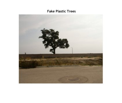 Fake Plastic Trees book cover